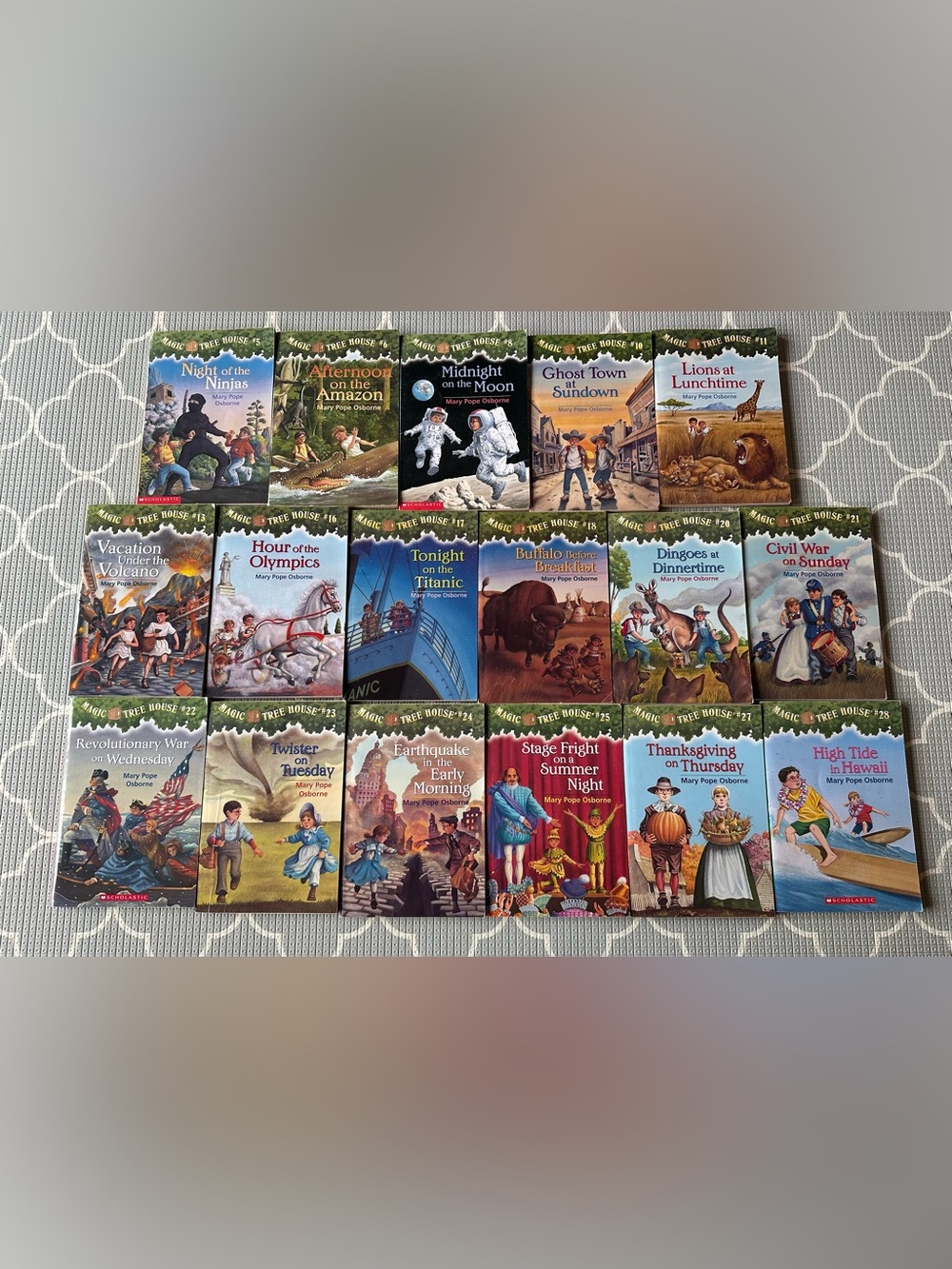 Magic Tree House Chapter books x 17